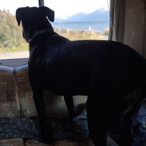 Meet your Posher, Robin